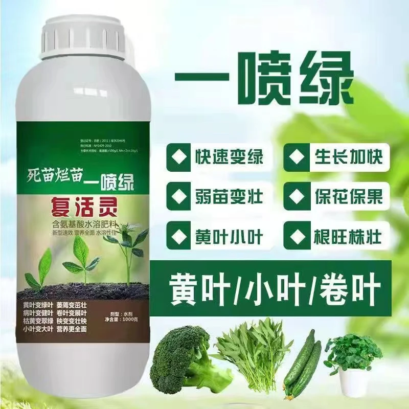 一喷绿黄叶枯死变绿含氨基酸通用蔬菜花卉叶绿素微量元素叶面肥