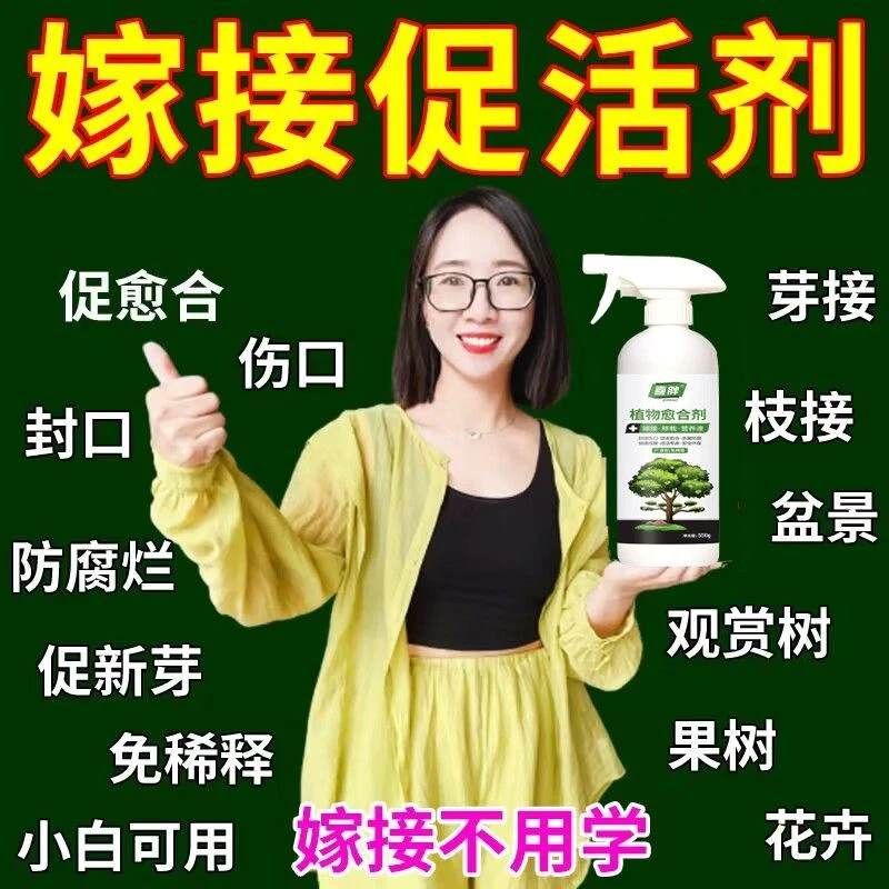 嫁接促活液【接啥活啥】果树树木植物盆景花卉芽接枝接伤口愈合剂