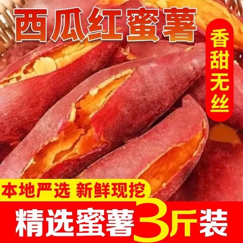 西瓜红蜜薯沙地蜜薯新鲜现挖红心红薯地瓜番薯糖心农家香甜黄心