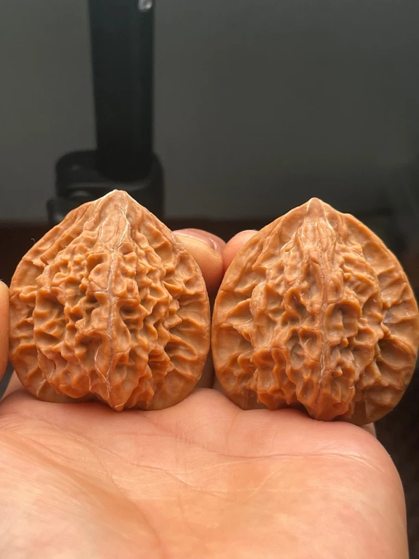 文玩核桃秦岭野生水晶皮鸡心，形状漂亮，上色快，尺寸43