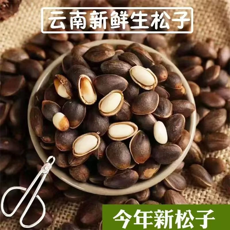 2025云南新鲜生松子饱满大颗粒未加工原味薄皮松子落水松孕妇坚果
