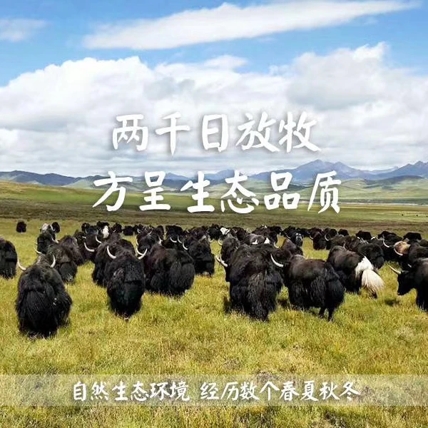 【卤牦牛拼盘】天之牧严选可加热凉拌休闲零食小碎肉