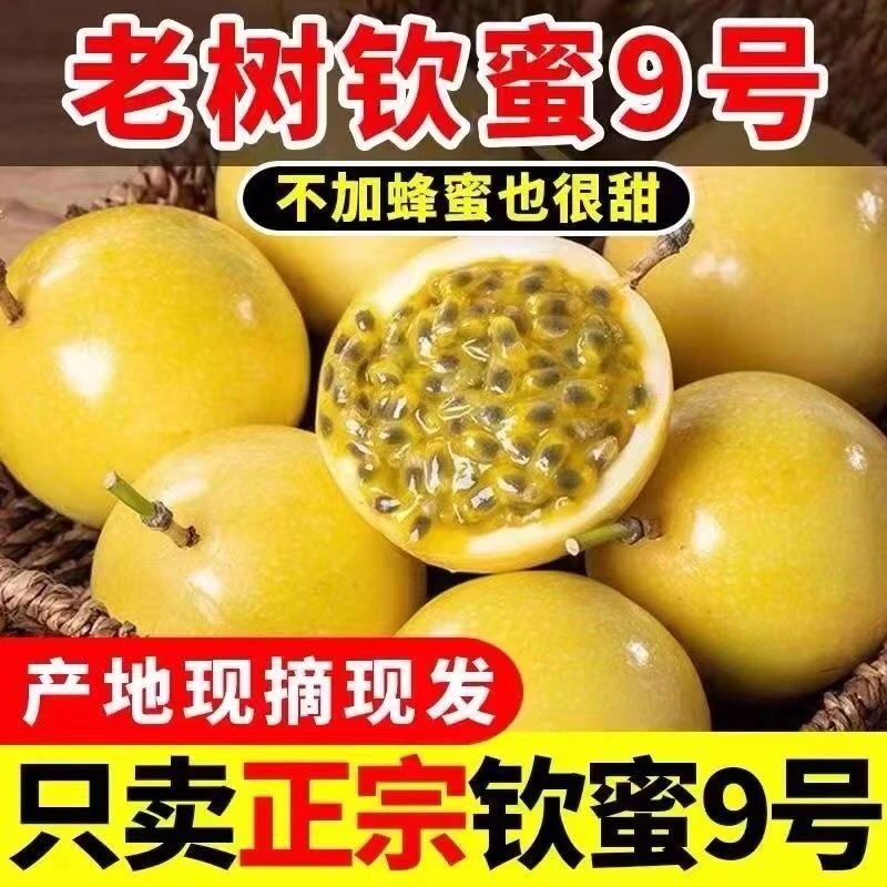 正宗百香果钦蜜9九号黄金百香果新鲜水果当季农家整箱现摘现发
