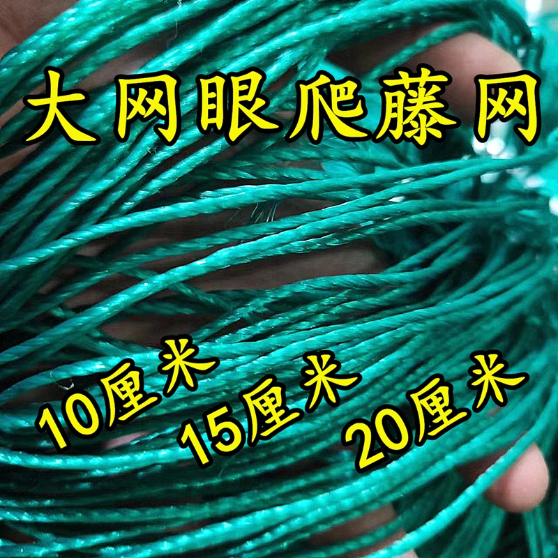 20厘米聚乙烯植物爬藤网葡萄瓜果百香果藤蔓黄瓜架种植网小香葱