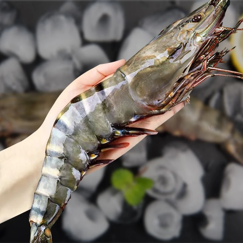 【特大号】8-10黑虎虾一斤（500g）5-6只 鲜活船冻3斤/盒15-18只左右