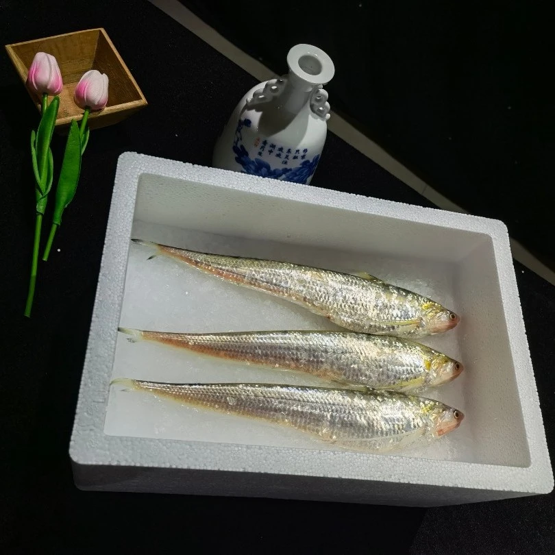 冰鲜刀鱼精品特大3.5两左右规格清蒸鲜嫩海刀鱼