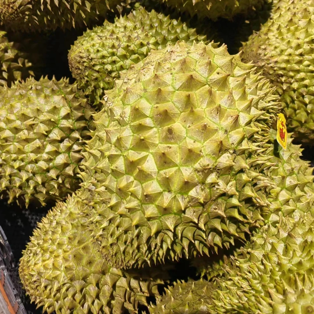 树熟金枕榴莲一个