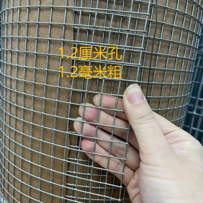 热镀锌1.2厘米孔2孔 鸽笼鸟笼卷网 防黄鼠狼
