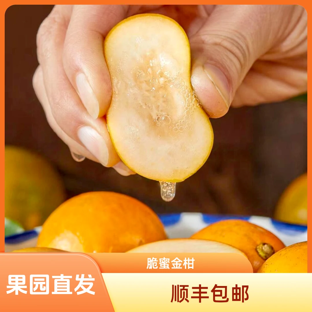 广西融安【全家桶-礼盒装】第三代爆汁甜蜜新鲜果园直发