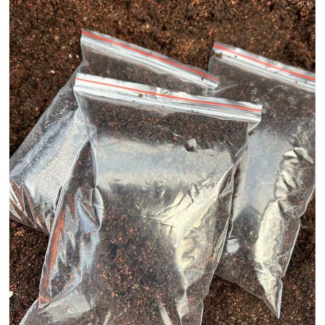 进口生石花肉锥专用土【三包】