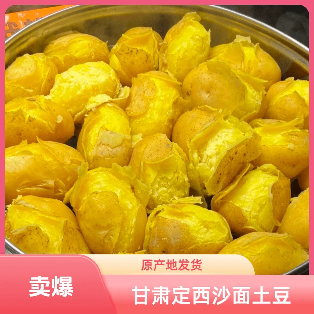 正宗甘肃定西现挖新鲜黄心沙面粉糯土豆洋芋马铃薯