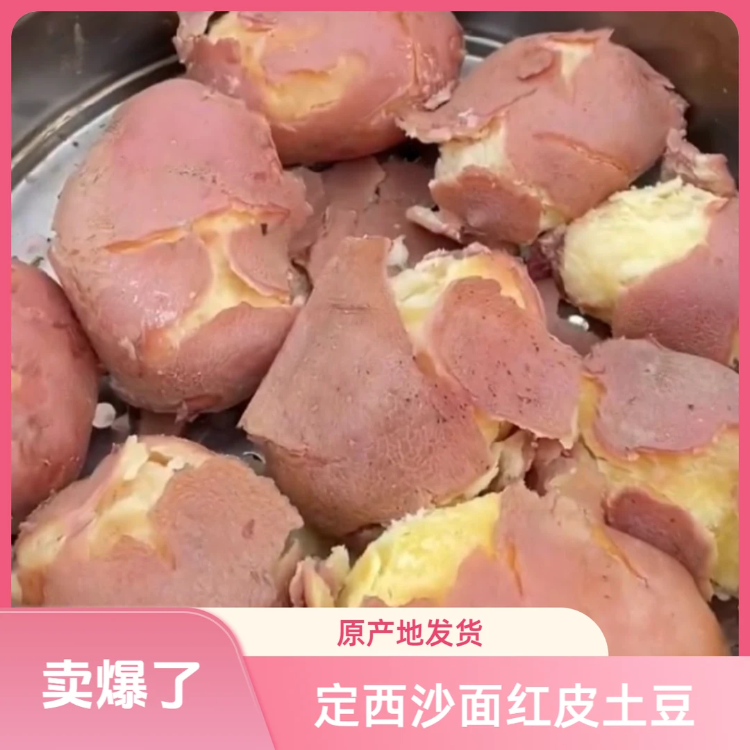 2025年甘肃定西高原新鲜红皮黄心土豆粉糯沙面洋芋马铃薯老品种