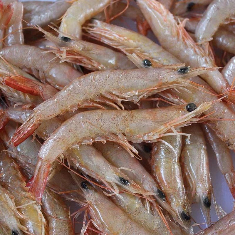 野生蛎虾4斤（1斤40-50只左右）鹰爪虾 灯笼红 色虾