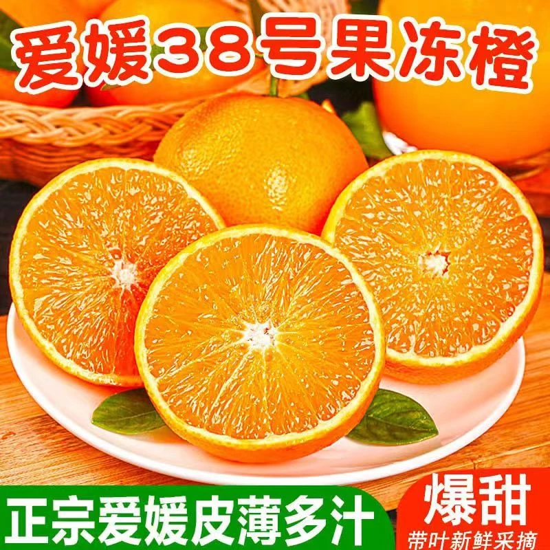 四川爱媛38号果冻橙 现摘当季新鲜水果皮薄多汁孕妇水果包邮
