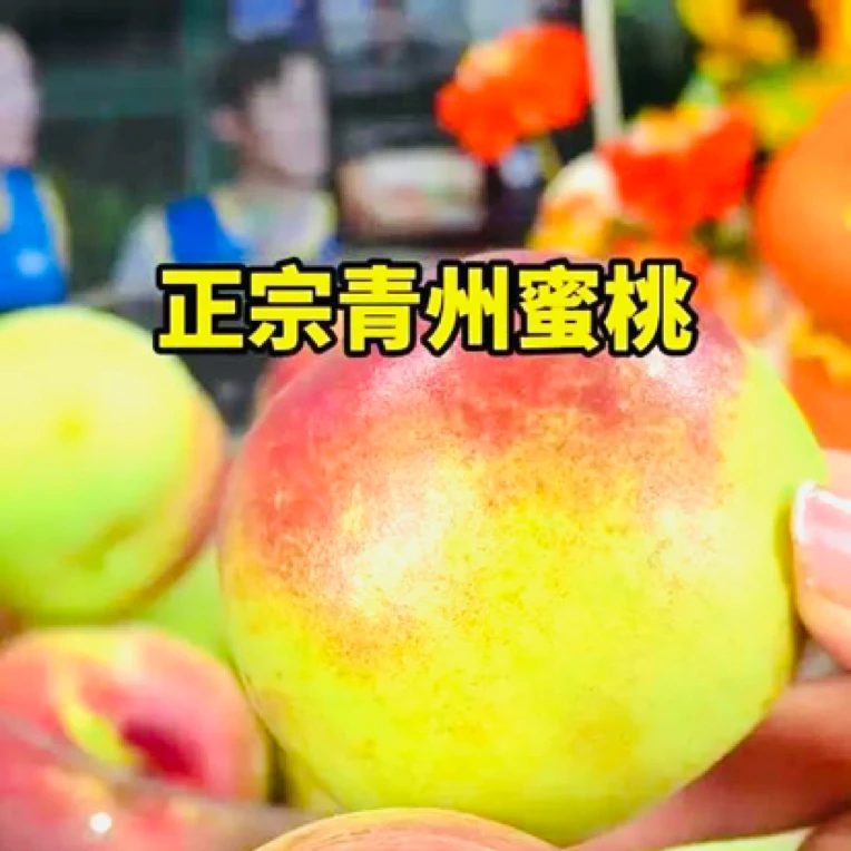 山东青州蜜桃4.5斤（冬桃脆甜）（小果）