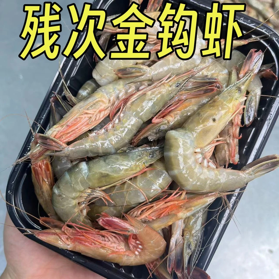 吕四鱼港 纯野生金钩虾 滑皮虾 条虾残次虾 500克*3盒 /6盒/10盒