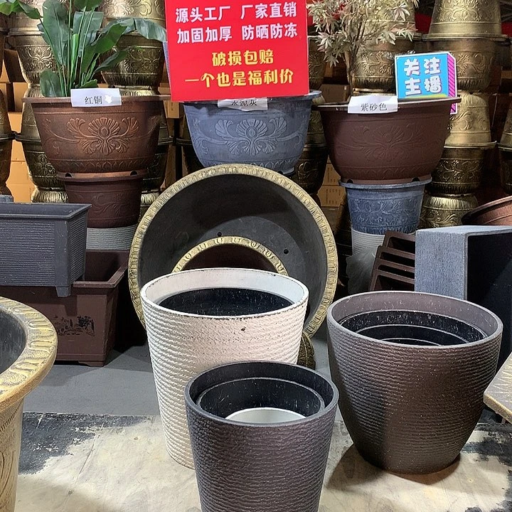复合20CM(含)-50CM(不含)大*豆