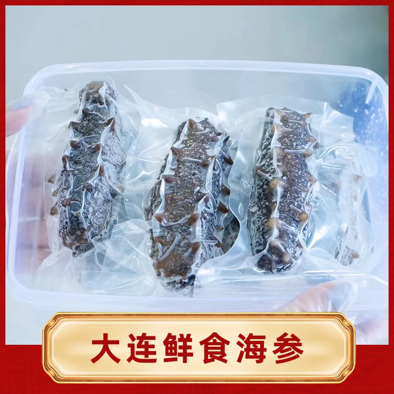 【大连鲜食海参】非干货冷链盒装发货真空单个装