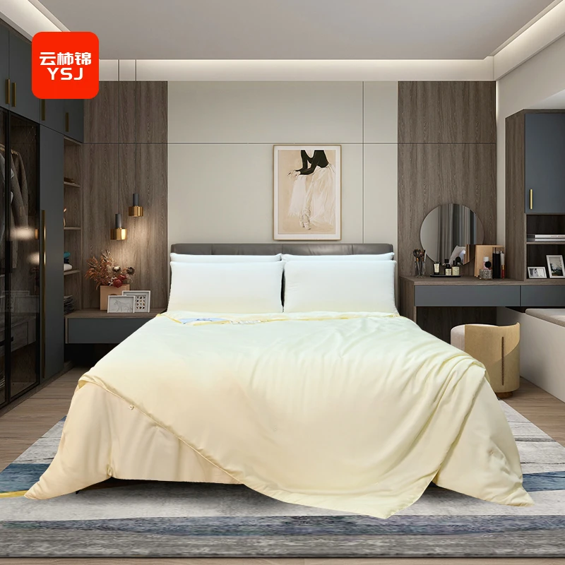 中国丝绸  桑蚕丝 被芯 三斤子母被  保暖透气 300007