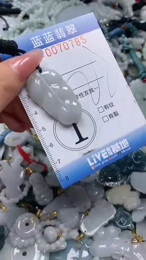 【闪购商品】翡翠颈饰未镶嵌闪购0070785