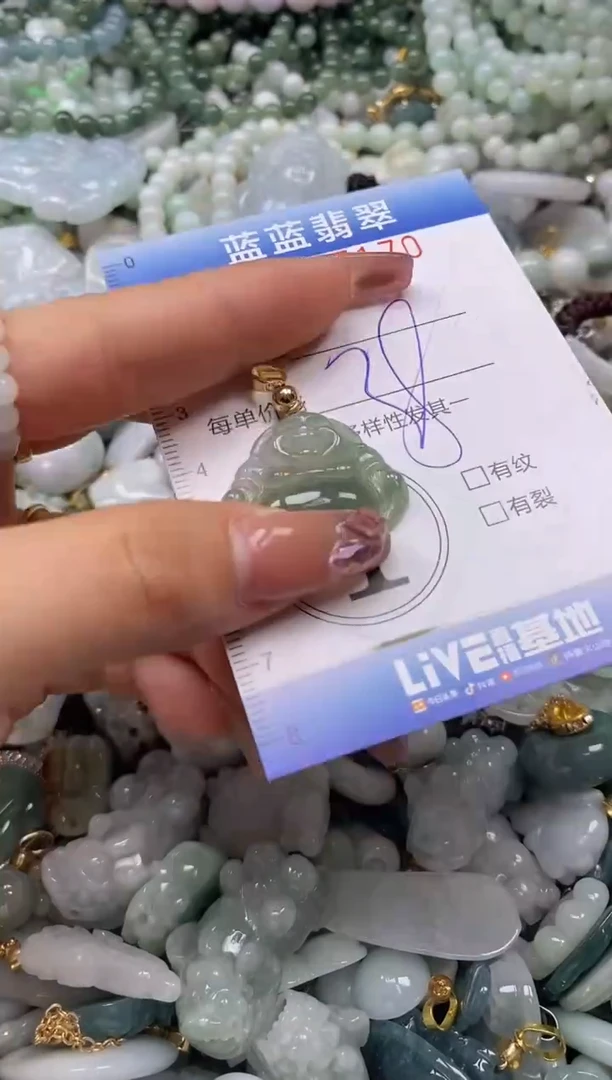 【闪购商品】翡翠颈饰未镶嵌闪购0087170