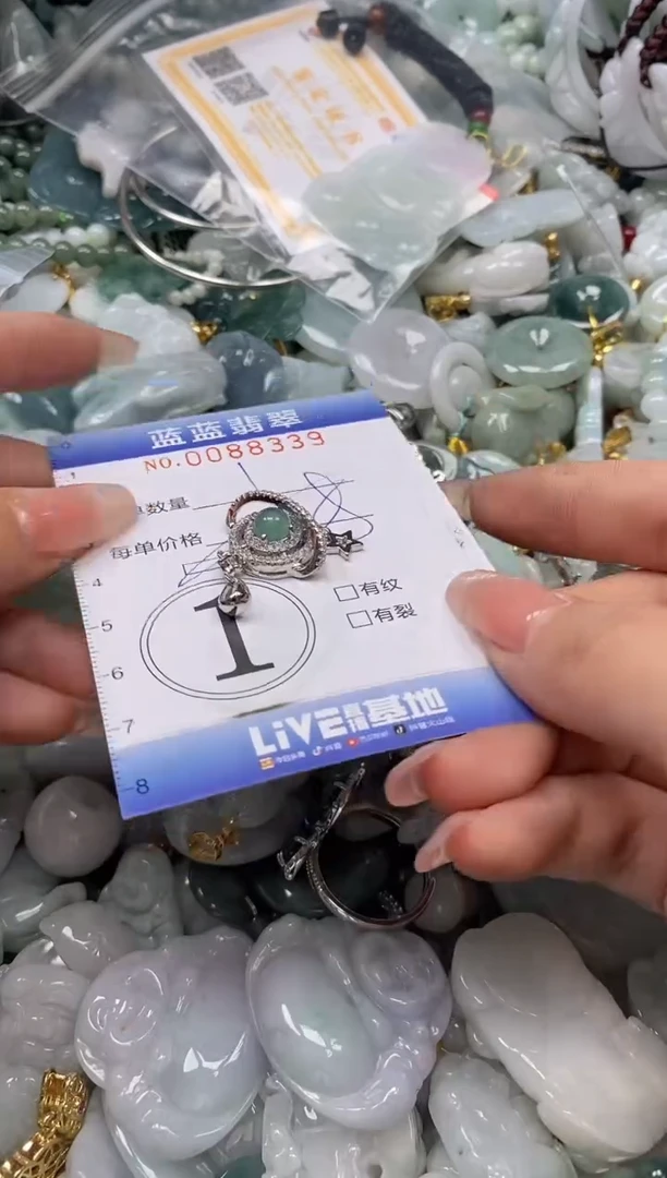 【闪购商品】翡翠颈饰未镶嵌闪购0088339多样性发其一圈口