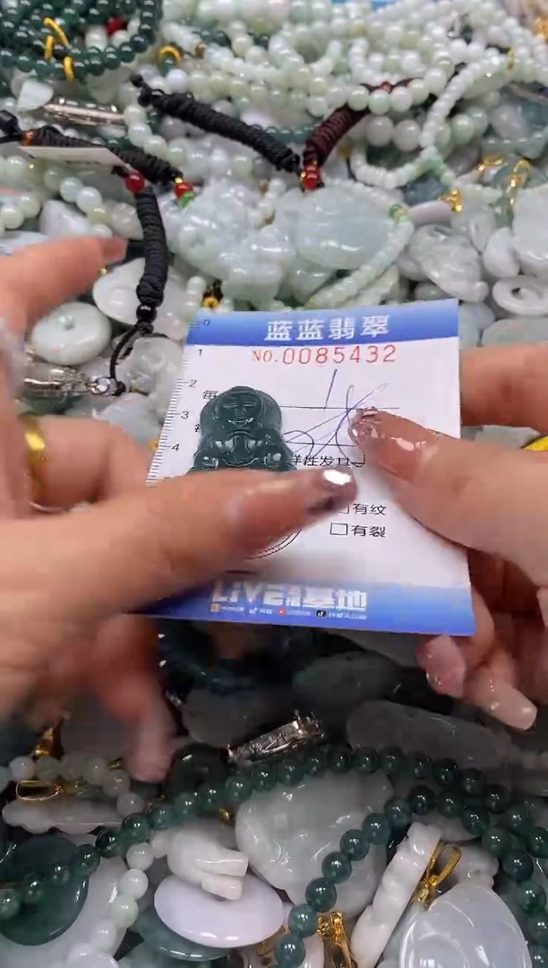 【闪购商品】翡翠颈饰未镶嵌闪购0085432多样性发其一圈口