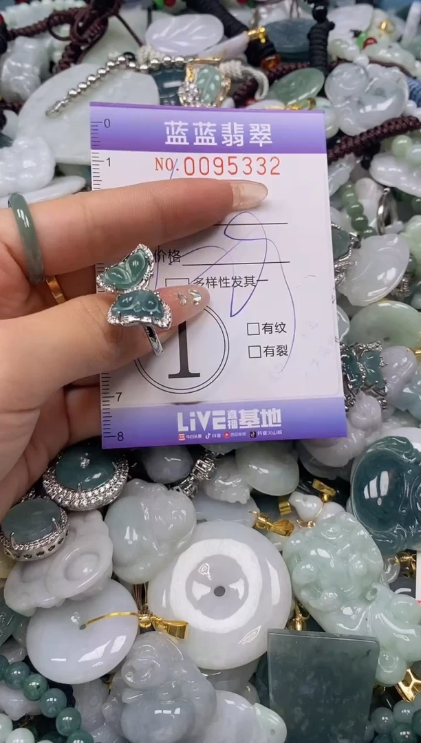 【闪购商品】翡翠颈饰未镶嵌闪购0095332多样性发其一圈口