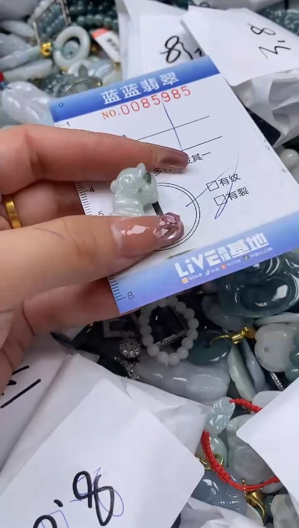 【闪购商品】翡翠颈饰未镶嵌闪购0085985