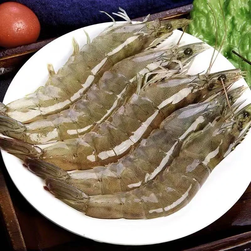大海虾4斤 连云港发货