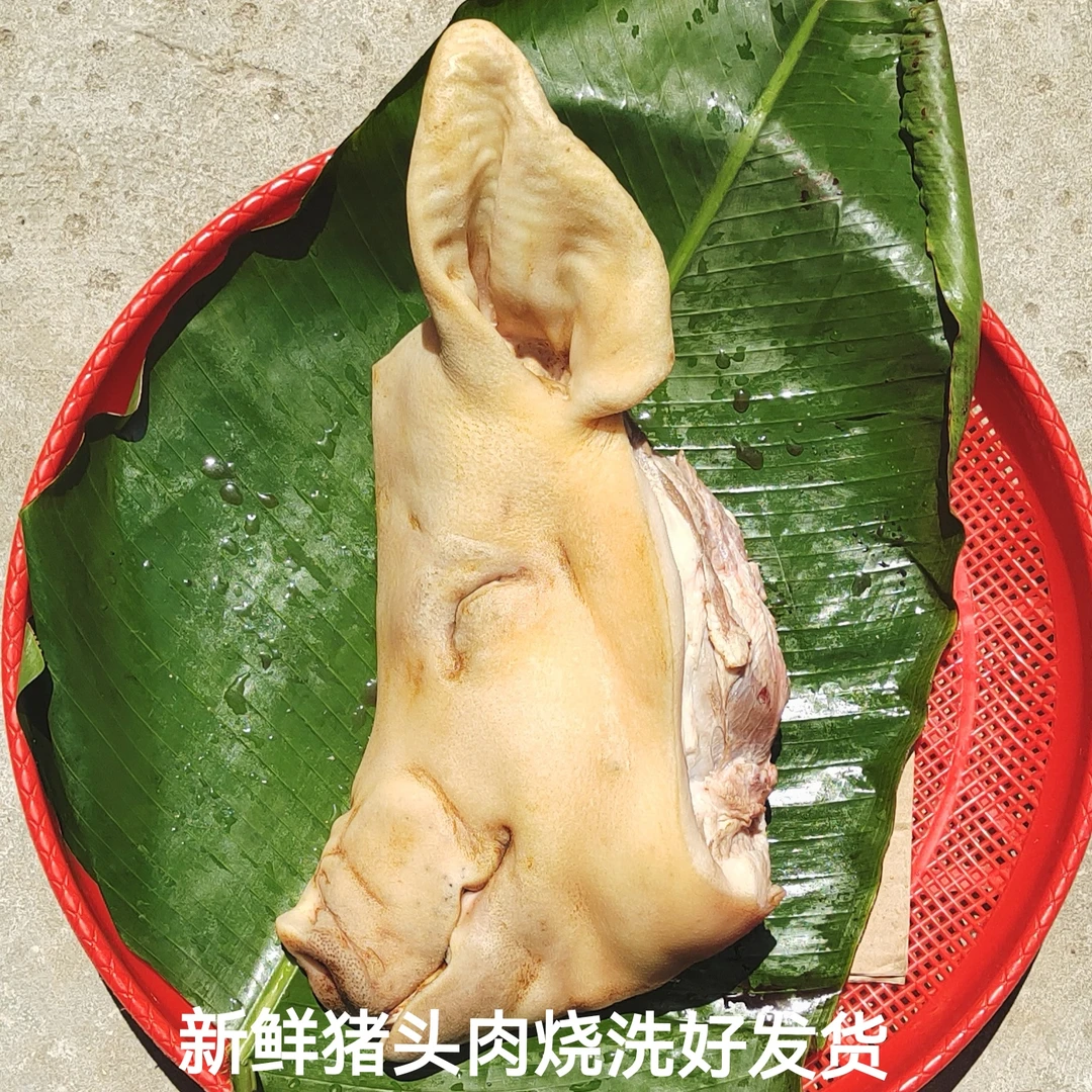新鲜猪头皮猪脸烧洗包邮