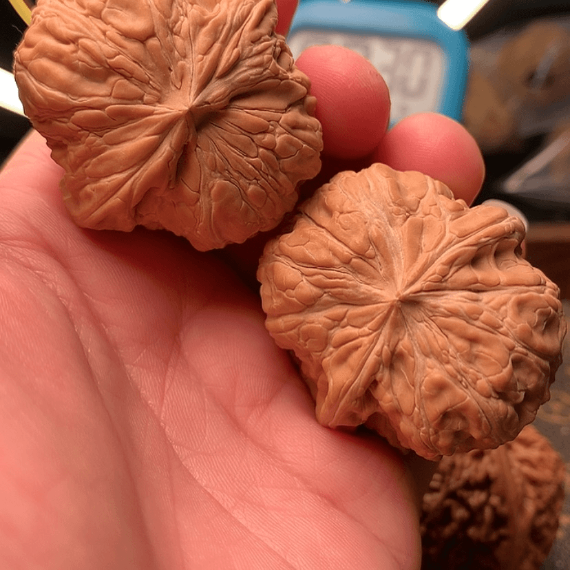 【闪购商品】文玩核桃吊坠腾*闷墩