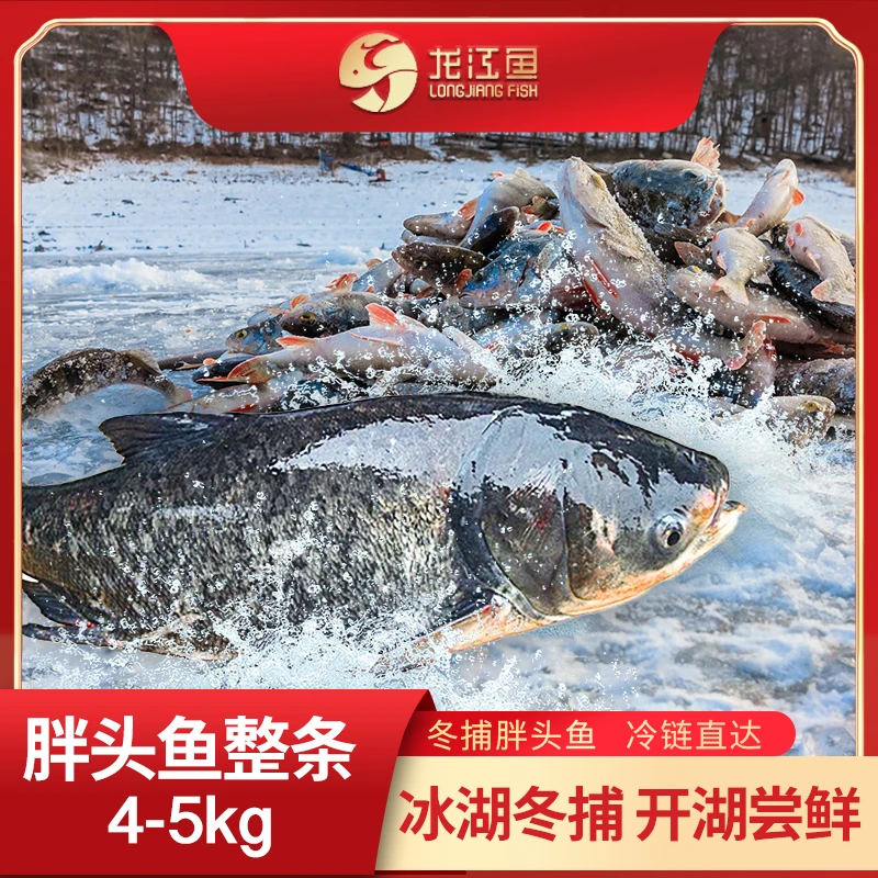 ZT【龙江冬捕·4-5kg整条】黑龙江冷水鱼礼盒-胖头鱼,鲜美至臻