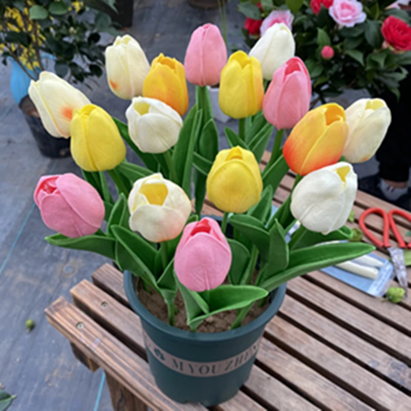 进口郁金香种球混色发货耐寒阳台客厅花卉盆栽植物