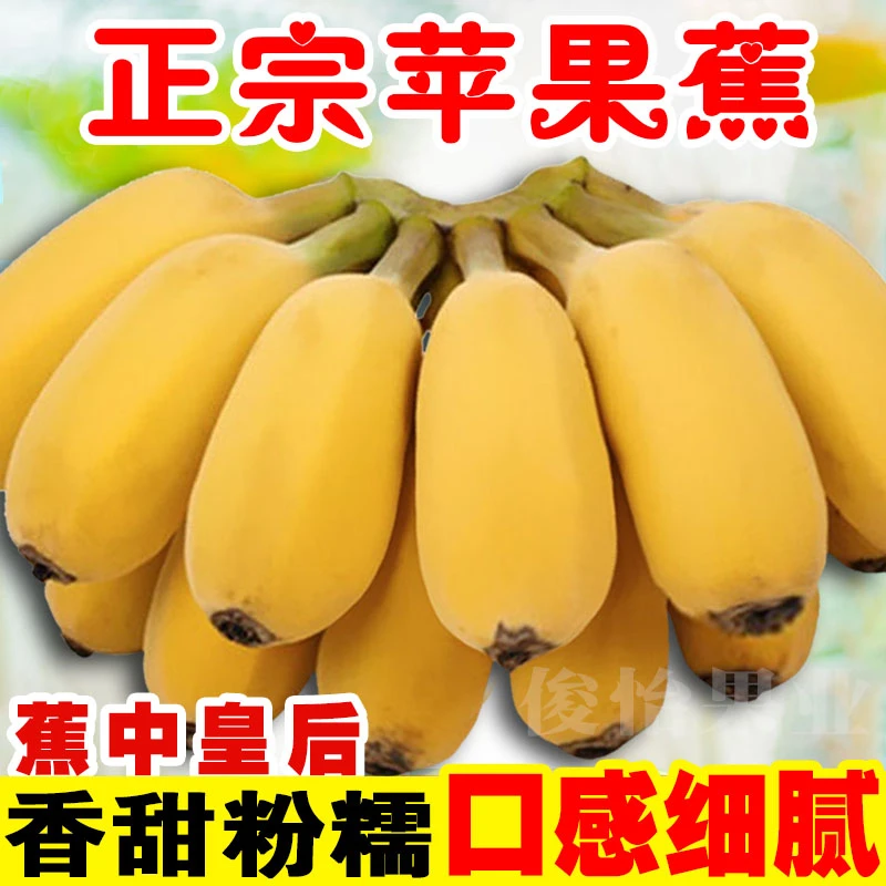 广西苹果蕉粉蕉10斤当季新鲜水果直播卖苹果香蕉芭蕉批发整箱5斤