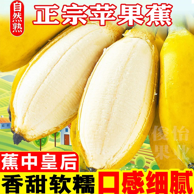 【俊怡果业】广西苹果蕉正宗超甜应季新鲜水果香蕉西贡粉蕉2/5/9斤