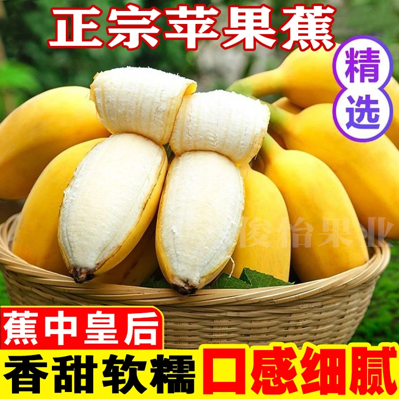 正宗广西苹果蕉自然熟3/5/9斤时令新鲜果直播西贡粉香蕉芭蕉俊怡