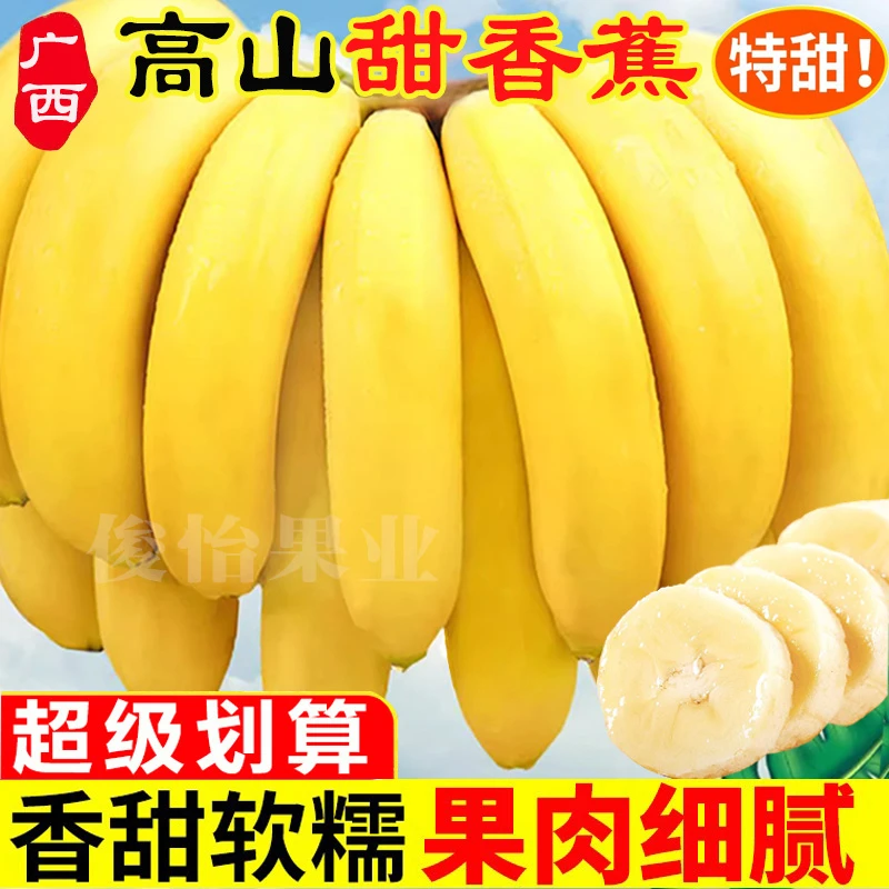 高山香蕉香甜软糯自然成熟食用广西发货新鲜采摘应季水果1-10斤散
