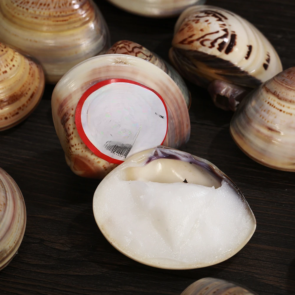 蛤蜊油老式贝壳油手足护手霜哈寺奈芙利油蚌壳护脸霜国货蛤蜊