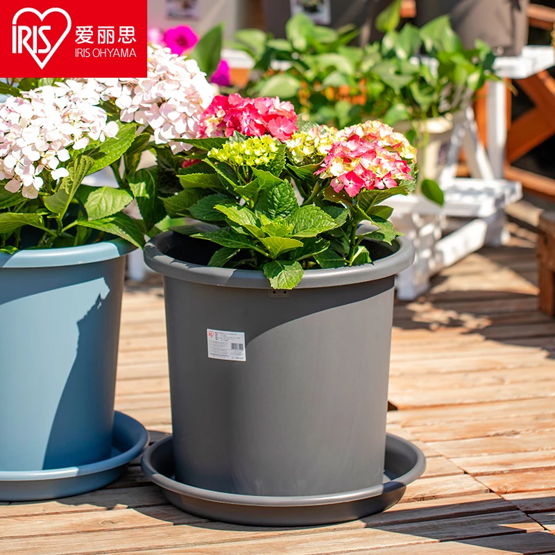 爱丽思Deepot浅型月季铁线莲绣球茉莉加树脂径控根彩色花盆