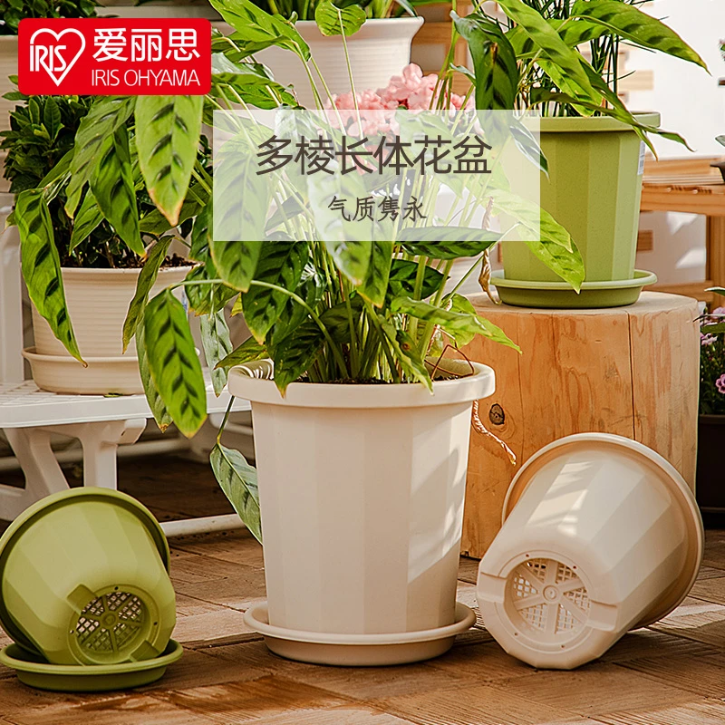 【活动】爱丽思简约花盆塑料创意长钵花盆树脂圆形多肉环保花盆