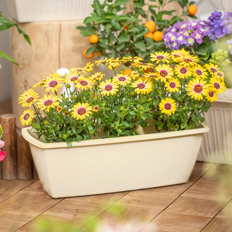 【活动】爱丽思花盆庭院种树阳台月季朱顶红盆栽种菜环保盆