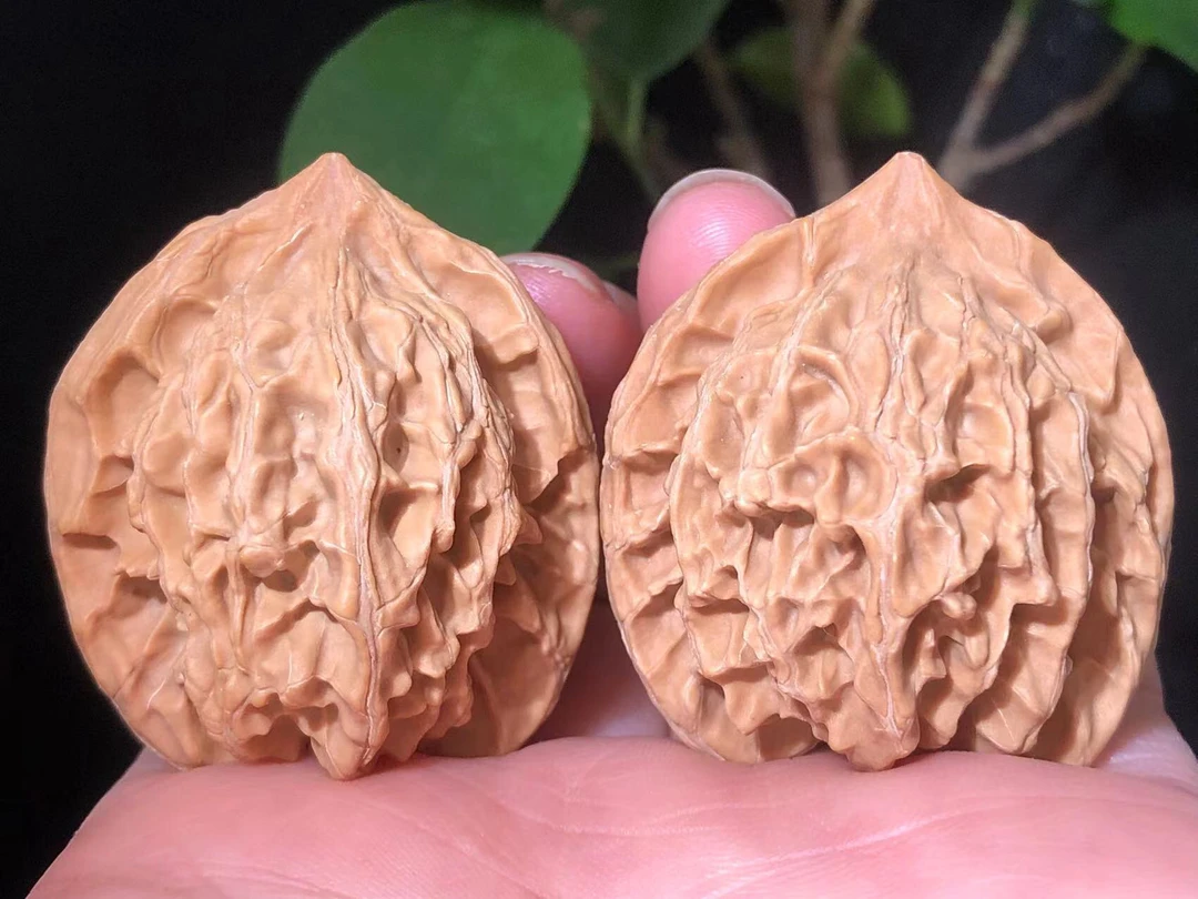 【新手福利】36左右盘山公子帽文玩核桃（多样性发货）