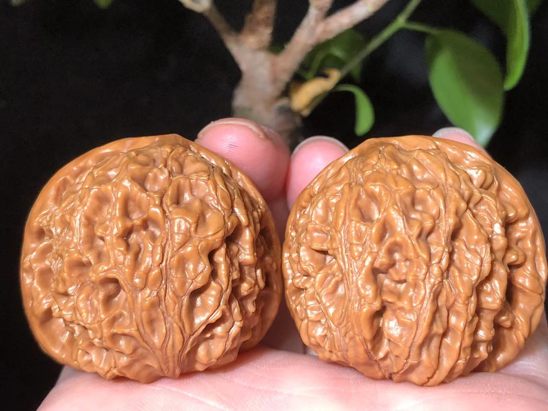 【开门红大福利】36左右水龙纹文玩核桃