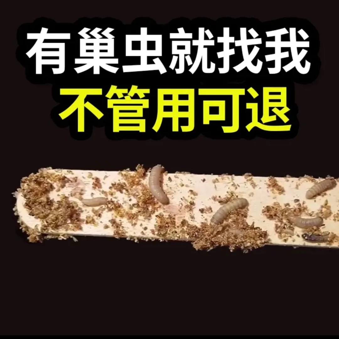【买一送一】二代巢虫清木片中蜂专用蜜蜂白头蛹防虫巢虫净防棉虫