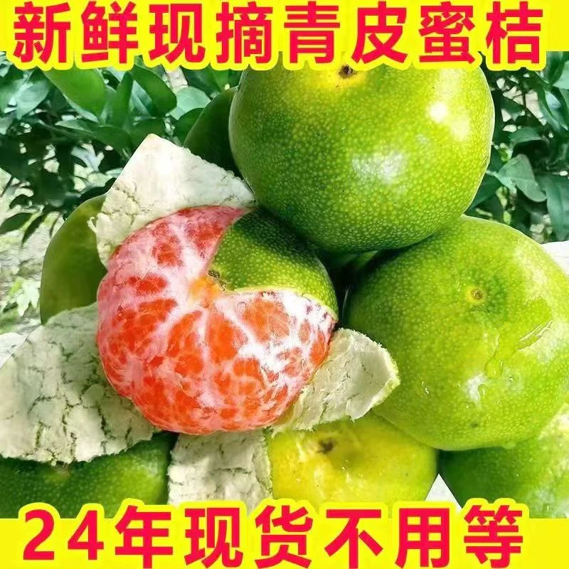 【拍五斤送五斤】云南青皮橘子新鲜应季水果孕妇酸甜多汁产地直发