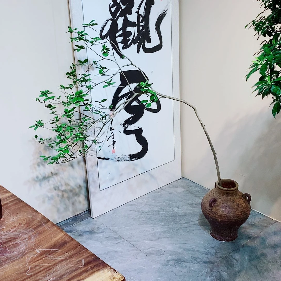 海岛栀子花室内盆景