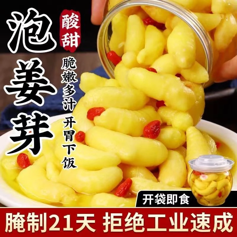 枸杞嫩姜芽新鲜嫩姜仔姜生姜糖醋酸甜泡姜片泡菜即食下饭菜