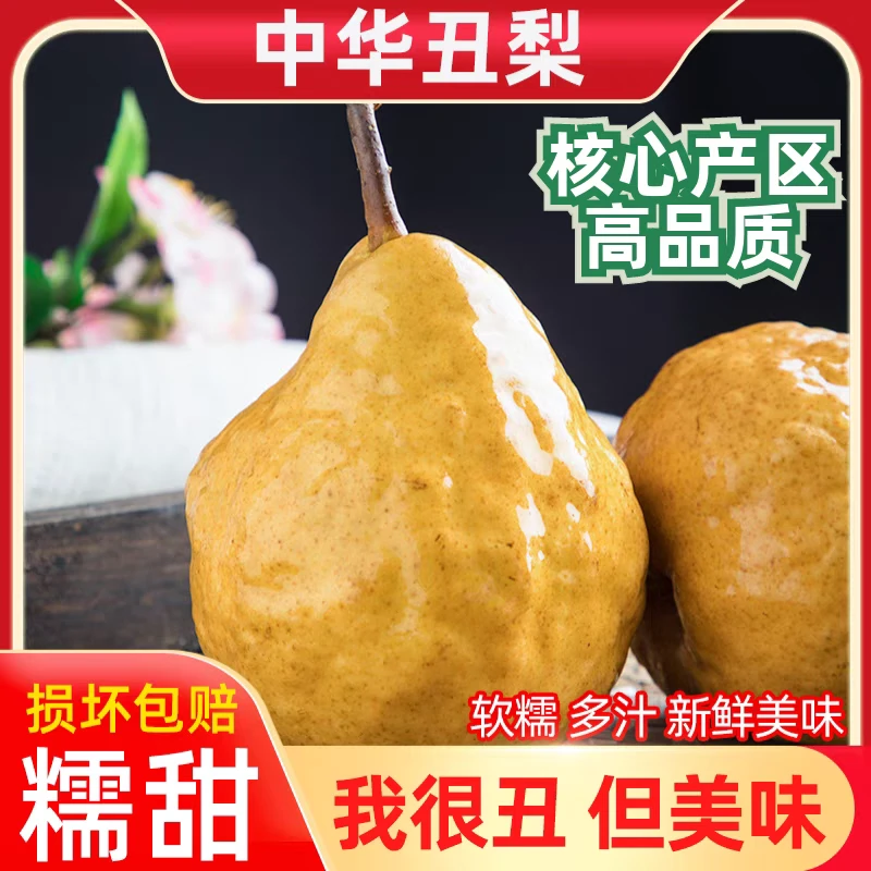 正宗山东烟台中华丑梨当季新鲜水果软糯香甜多汁4.5斤大头太婆梨