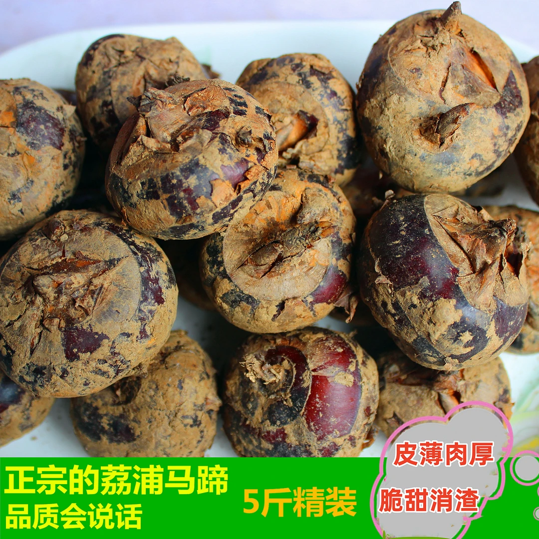正宗广西桂林荔浦马蹄新鲜荸荠地梨农家自种5斤8斤